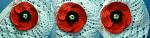     
: DSC09346.jpg
: 127
:	67.4 
ID:	2411546