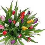     
: 8march.jpg
: 10
:	25.2 
ID:	2415648