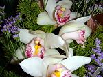     
: DSC03264.jpg
: 8
:	110.7 
ID:	2415649