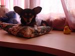     
: DSC03423.jpg
: 64
:	100.0 
ID:	2416837