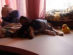     
: DSC03418.jpg
: 55
:	101.1 
ID:	2416838