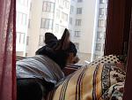     
: DSC03429.jpg
: 49
:	126.1 
ID:	2416847