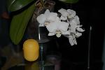    
: DSC_0314.jpg
: 40
:	70.6 
ID:	2420215