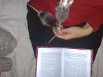     
: 200320115273.jpg
: 30
:	111.9 
ID:	2427385