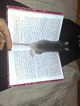     
: 200320115274.jpg
: 22
:	109.0 
ID:	2427390