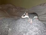     
: 120220115155.jpg
: 22
:	137.0 
ID:	2428557