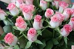     
: 58964659_Bolshoy_buket_rozovuyh_roz.jpg
: 4
:	37.7 
ID:	2430285