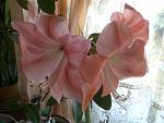     
: lichnoe 230.jpg
: 79
:	79.3 
ID:	243156