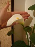     
: DSC04879.JPG
: 15
:	45.0 
ID:	2432182
