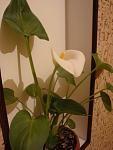     
: DSC04878.JPG
: 14
:	51.4 
ID:	2432183