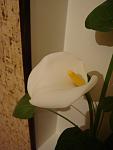     
: DSC04875.JPG
: 11
:	41.8 
ID:	2432184