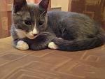     
: DSC01039.jpg
: 8
:	111.7 
ID:	2432415