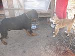     
: IMG_3099.jpg
: 83
:	131.9 
ID:	2433491
