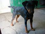     
: DSC00060.jpg
: 26
:	133.3 
ID:	2435120