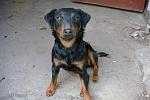     
: DSC00114.jpg
: 27
:	121.5 
ID:	2435127
