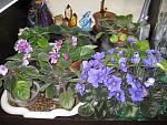     
: IMG_4339.JPG
: 21
:	242.9 
ID:	2435222
