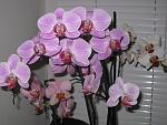     
: IMG_4359.JPG
: 18
:	162.7 
ID:	2435223