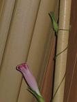     
: Rotation of IMG_43441.JPG
: 27
:	147.8 
ID:	2435230