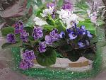     
: IMG_40071.JPG
: 49
:	171.0 
ID:	2435231