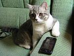     
: IMG_0420.jpg
: 44
:	166.3 
ID:	2437249