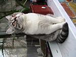     
: IMG_0431.jpg
: 36
:	116.9 
ID:	2437253