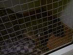     
: Фото0038.jpg
: 62
:	120.1 
ID:	2437283