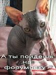     
: x_6712e518.jpg
: 45
:	55.9 
ID:	2437717