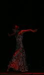     
: DSC01475.jpg
: 44
:	30.2 
ID:	2438047