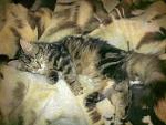     
: 240320111407.jpg
: 75
:	126.6 
ID:	2438280
