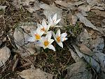     
: P1370481.JPG
: 30
:	167.6 
ID:	2441817