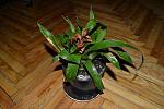     
: DSC_3534.jpg
: 9
:	132.8 
ID:	2444158