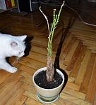     
: DSC_3535.jpg
: 17
:	111.1 
ID:	2444202