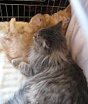     
: sIMG_4586.jpg
: 79
:	92.7 
ID:	244992