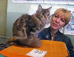     
: sIMG_4678.jpg
: 86
:	141.7 
ID:	244996