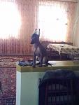     
: 10032011327.jpg
: 56
:	114.2 
ID:	2452992
