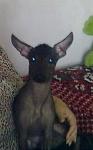     
: 29032011353.jpg
: 56
:	29.3 
ID:	2453013