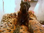     
: DSC00251.jpg
: 37
:	125.0 
ID:	2456134