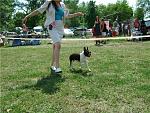     
: 870a8bc9bb2f.jpg
: 152
:	123.0 
ID:	2458151