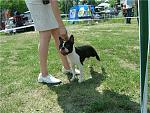     
: 4ef22c25f620.jpg
: 124
:	116.1 
ID:	2458152
