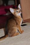     
: Paloma (3).jpg
: 31
:	88.3 
ID:	2464748