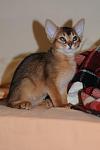     
: Paloma (4).jpg
: 27
:	79.2 
ID:	2464750