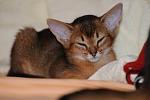     
: Pat (7).jpg
: 24
:	61.7 
ID:	2464765