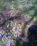     
: Фото004.jpg
: 33
:	195.4 
ID:	2464999