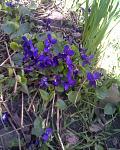     
: Фото003.jpg
: 30
:	138.6 
ID:	2465000