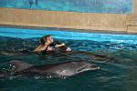     
: IMG_8624_thumb.jpg
: 60
:	121.5 
ID:	2467771