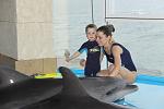     
: IMG_8540_thumb.jpg
: 64
:	81.3 
ID:	2467772