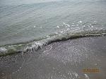     
: IMG_3292.jpg
: 97
:	196.0 
ID:	2468926