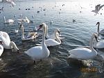    
: IMG_3110.jpg
: 74
:	170.7 
ID:	2468934