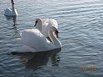     
: IMG_3114.jpg
: 61
:	122.2 
ID:	2468937