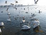     
: IMG_3115.jpg
: 68
:	154.0 
ID:	2468939